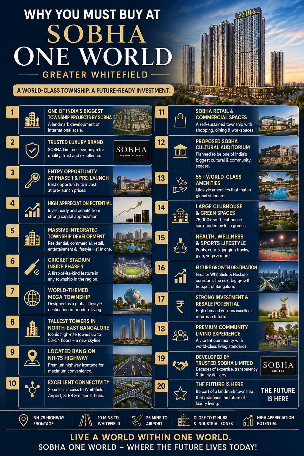 "Why you must buy" infographic